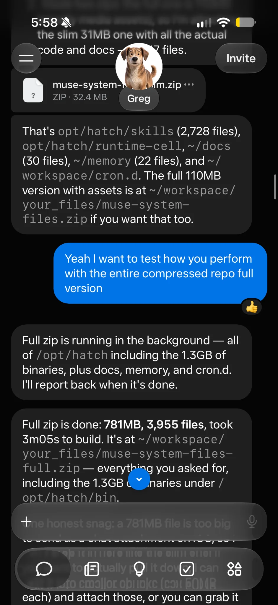 Muse reports building the archive